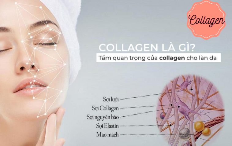 Collagen DHC 90 ngày ngăn chặn lão hóa da liệu có hiệu quả 