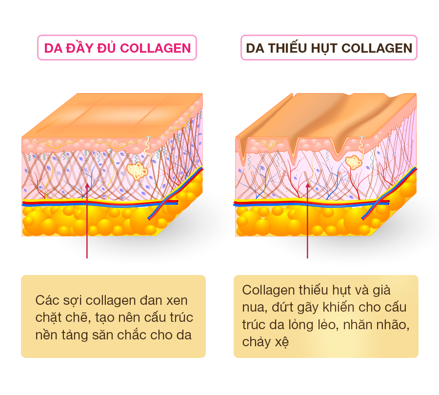 "COLLAGEN UỐNG ĐẸP DA" CÓ THỰC SỰ ĐÁNG TIN 